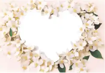 Foto Effekt från kategori Ramar för pojkvänner № 14892 Foto Effekt från kategori Ramar för pojkvänner № 14892