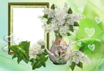 Foto Effekt från kategori Ramar för pojkvänner № 153257 Foto Effekt från kategori Ramar för pojkvänner № 153257