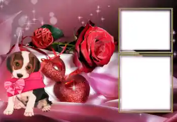 Foto Effekt från kategori Ramar för pojkvänner № 154605 Foto Effekt från kategori Ramar för pojkvänner № 154605