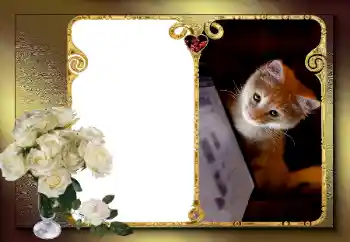 Foto Effekt från kategori Ramar för pojkvänner № 163583 Foto Effekt från kategori Ramar för pojkvänner № 163583