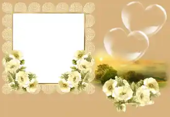 Foto Effekt från kategori Ramar för pojkvänner № 166669