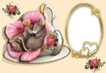 Foto Effekt från kategori Ramar för pojkvänner № 170567