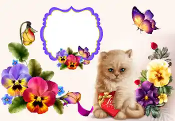 Foto Effekt från kategori Ramar för pojkvänner № 177858