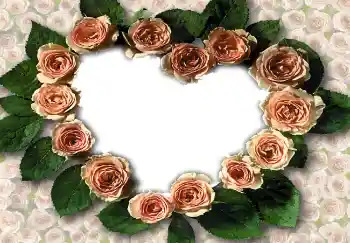 Foto Effekt från kategori Ramar för pojkvänner № 1788