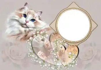 Foto Effekt från kategori Ramar för pojkvänner № 180791