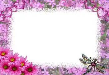 Foto Effekt från kategori Ramar för pojkvänner № 1817 Foto Effekt från kategori Ramar för pojkvänner № 1817