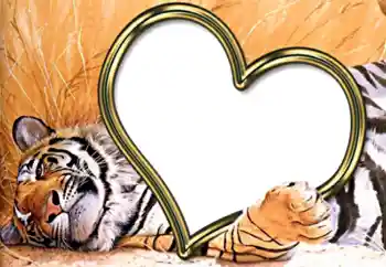 Foto Effekt från kategori Ramar för pojkvänner № 2202