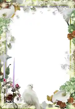 Foto Effekt från kategori Ramar för pojkvänner № 2234