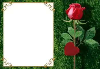 Foto Effekt från kategori Ramar för pojkvänner № 34006 Foto Effekt från kategori Ramar för pojkvänner № 34006