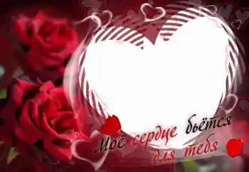 Inskriptionen på ramen: Моё сердце бьётся для тебя Inskriptionen på ramen: Моё сердце бьётся для тебя