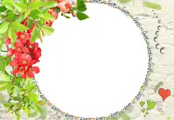 Inskriptionen på ramen: love Inskriptionen på ramen: love