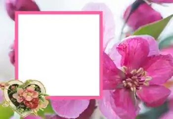 Foto Effekt från kategori Ramar för pojkvänner № 43593 Foto Effekt från kategori Ramar för pojkvänner № 43593