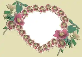 Foto Effekt från kategori Ramar för pojkvänner № 49524 Foto Effekt från kategori Ramar för pojkvänner № 49524