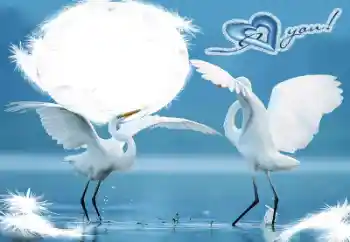 Inskriptionen på ramen: I love you! Inskriptionen på ramen: I love you!