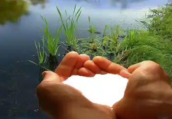 Foto Effekt från kategori Ramar för pojkvänner № 67019 Foto Effekt från kategori Ramar för pojkvänner № 67019