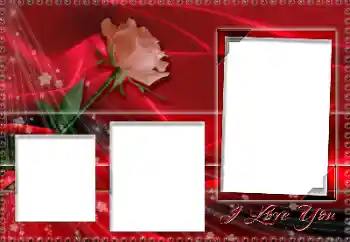 Inskriptionen på ramen: I love you Inskriptionen på ramen: I love you