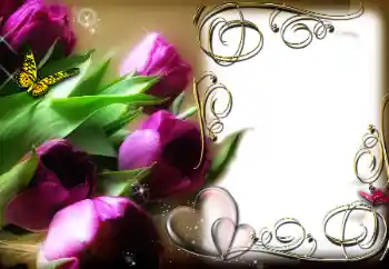 Foto Effekt från kategori Ramar för pojkvänner № 78969 Foto Effekt från kategori Ramar för pojkvänner № 78969