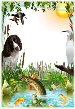 Foto Effekt från kategori Man fotoramar № 124265 Foto Effekt från kategori Man fotoramar № 124265