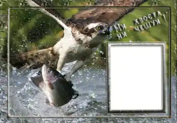 Inskriptionen på ramen: Fishing