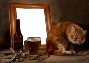 Foto Effekt från kategori Man fotoramar № 897 Foto Effekt från kategori Man fotoramar № 897