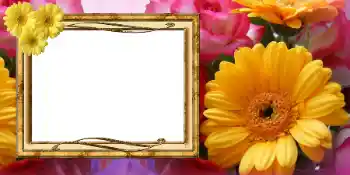 Foto Effekt från kategori Vykort till 8 mars № 42675