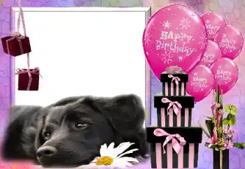 Inskriptionen på ramen: Happy Birthday! Inskriptionen på ramen: Happy Birthday!