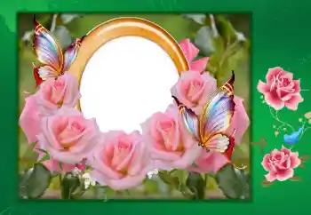 Inskriptionen på ramen: Happy anniversary!