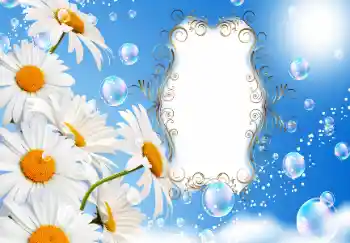 Inskriptionen på ramen: Happy anniversary!