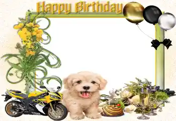 Inskriptionen på ramen: Grattis Med födelsedag!