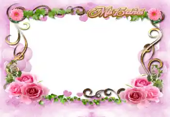 Inskriptionen på ramen: Grattis Med födelsedag!