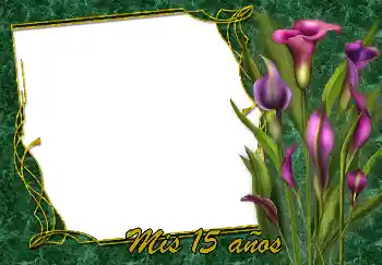 Inskriptionen på ramen: Grattis Med födelsedag!