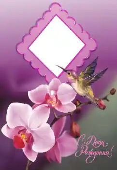 Inskriptionen på ramen: Grattis Med födelsedag! Inskriptionen på ramen: Grattis Med födelsedag!