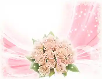 Inskriptionen på ramen: Grattis Med födelsedag! Inskriptionen på ramen: Grattis Med födelsedag!