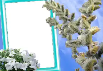 Foto Effekt från kategori Kort för Påsk № 131205