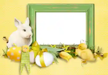 Foto Effekt från kategori Kort för Påsk № 131503