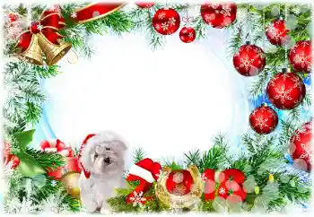 Inskriptionen på ramen: 2026