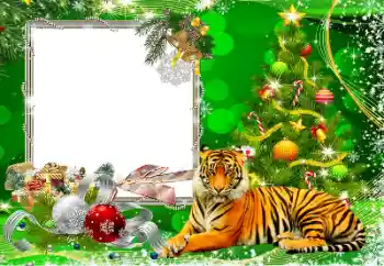 Foto Effekt från kategori Vykort till nyår № 194162 Foto Effekt från kategori Vykort till nyår № 194162