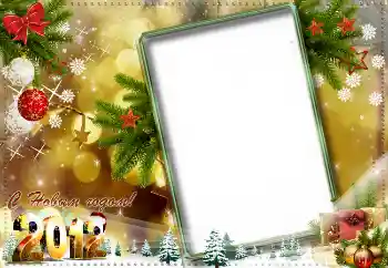 Inskriptionen på ramen: Gott Nytt År!