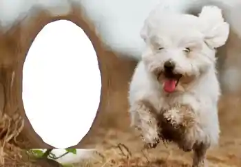 Inskriptionen på ramen: Gott Nytt År! Inskriptionen på ramen: Gott Nytt År!
