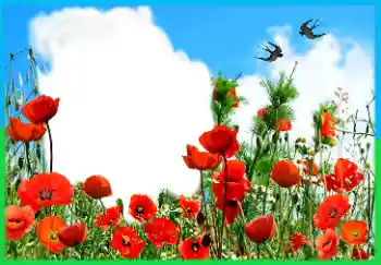 Inskriptionen på ramen: Victory in Europe Day Inskriptionen på ramen: Victory in Europe Day