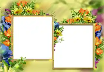 Inskriptionen på ramen: Grattis! Inskriptionen på ramen: Grattis!