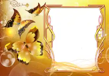 Inskriptionen på ramen: Grattis! Inskriptionen på ramen: Grattis!