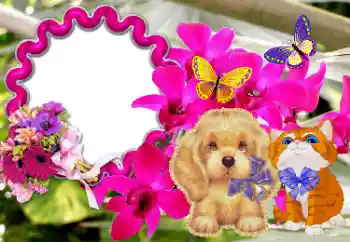 Inskriptionen på ramen: Grattis! Inskriptionen på ramen: Grattis!