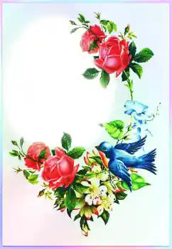 Inskriptionen på ramen: Grattis! Inskriptionen på ramen: Grattis!