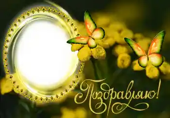 Inskriptionen på ramen: Grattis!