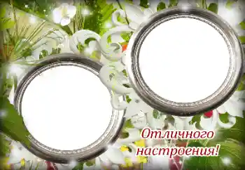 Inskriptionen på ramen: Excellent mood!