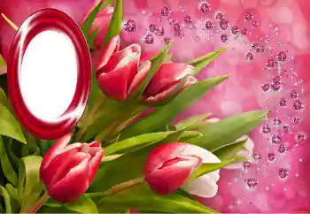 Foto Effekt från kategori Olika helgdagar № 150549