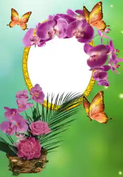 Foto Effekt från kategori Olika helgdagar № 150615