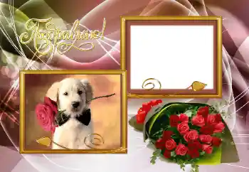 Inskriptionen på ramen: Grattis!