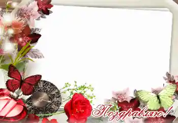 Inskriptionen på ramen: Grattis!